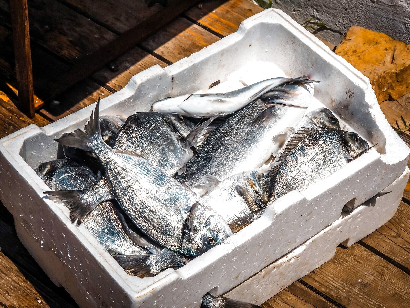 Fresh sea bream in a box on a wooden table